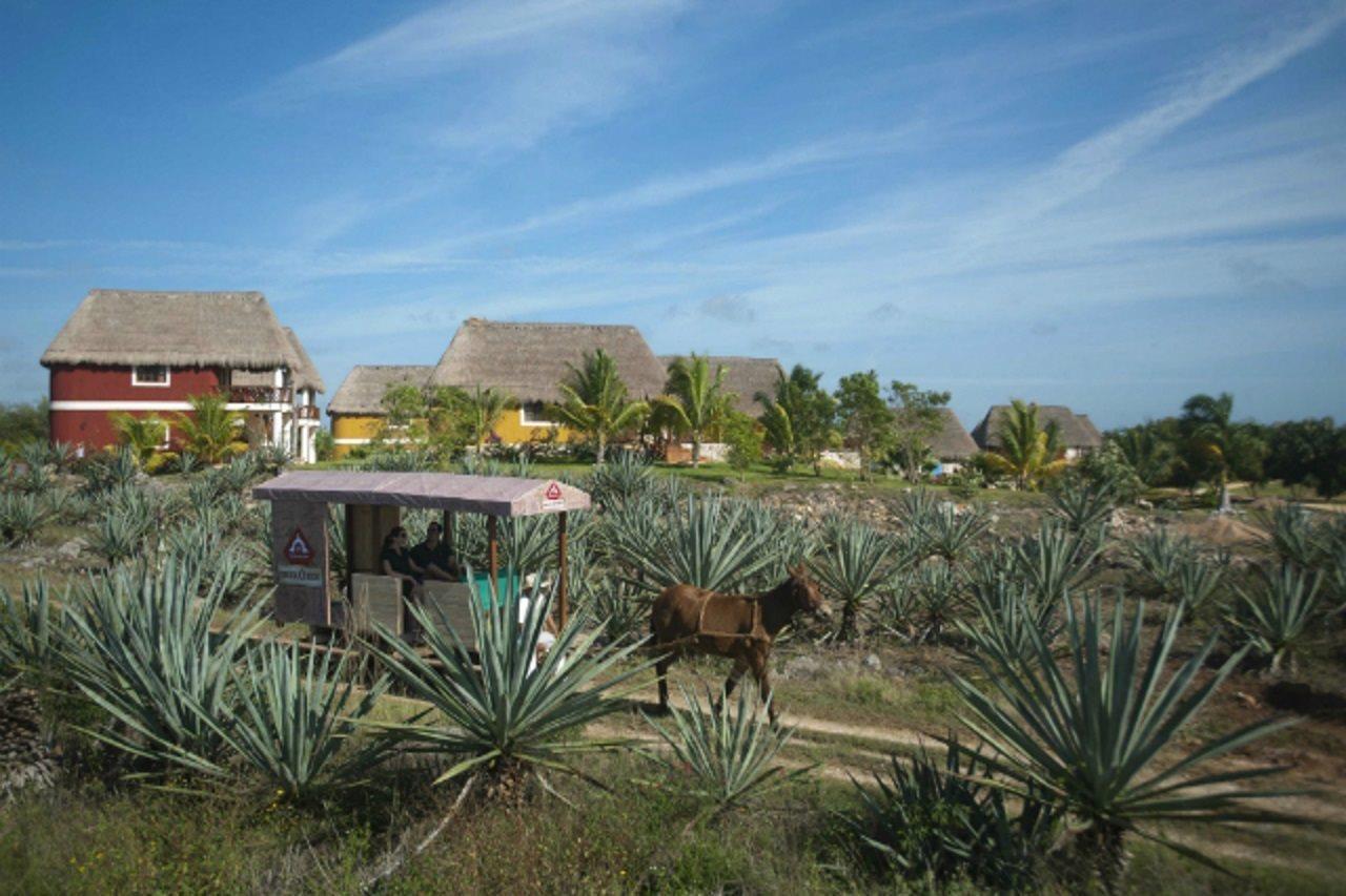 Hacienda Viva Sotuta de Peón Tecoh Exterior foto
